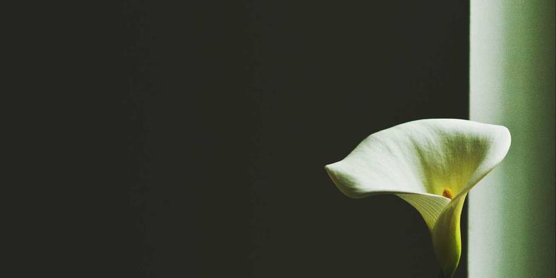 工业除尘系统如何实现“静音革命”？郑州宇信噪音控制技术的工程实践解析