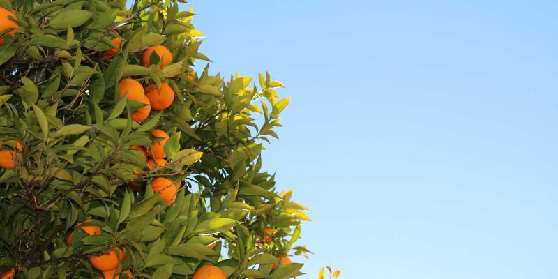 智能除尘新纪元：郑州宇信控制系统如何将空气净化效率提升30%以上