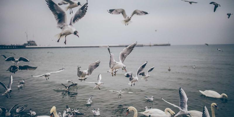 郑州宇信除尘设备在水泥行业的应用案例分析:高效除尘如何助力绿色生产转型