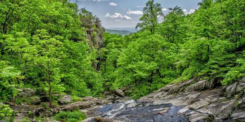 郑州宇信除尘设备:破解生物质锅炉烟气治理难题,实现高效清洁排放